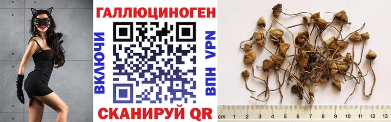 Галлюциногенные грибы MAGIC MUSHROOMS Балтийск